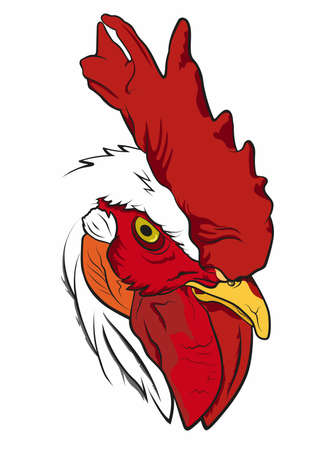 Vector mascot, cartoon and illustration of a rooster head.のイラスト素材