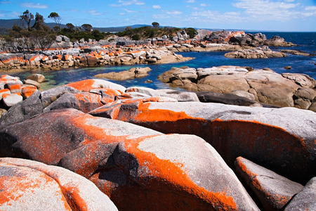 Bay of firesの写真素材