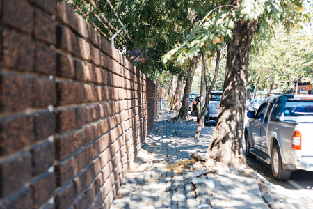 walking wayの写真素材