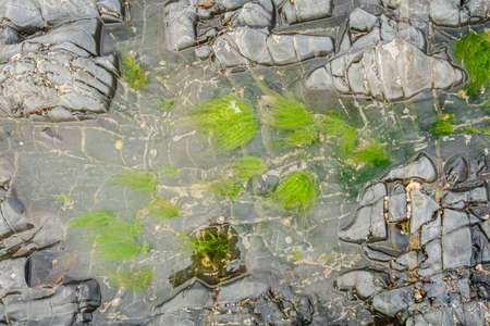 background texture of a beach stone rocks