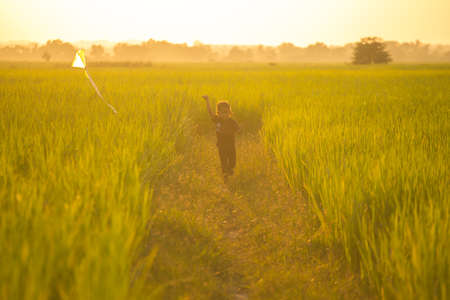 Farmer with a kite in rice field at sunset time.の写真素材