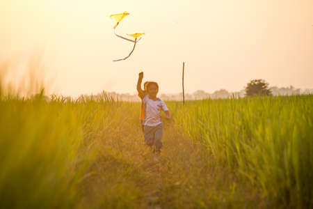 Cute little boy playing with kite in rice field at sunsetの写真素材