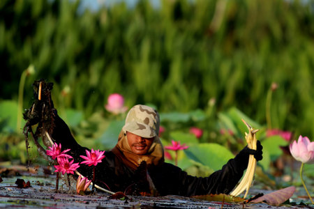 Unidentified person in lotus pond in Thailand.の写真素材
