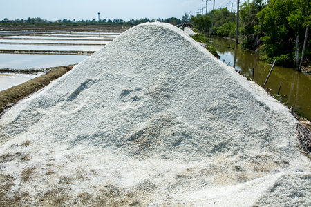 Pile of salt in salt farm, Thailand. Salt is a natural product.