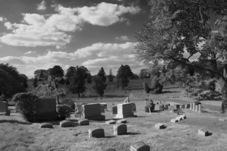Summer on Greenwood cemetery, NY. Infrared.の写真素材