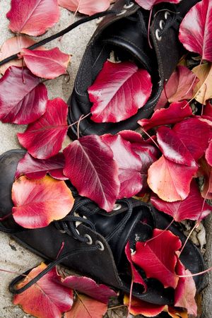 Abandoned shoes covered by the red fallen leavesの写真素材