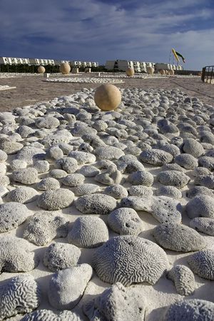 Stone ball on the field of corals の写真素材