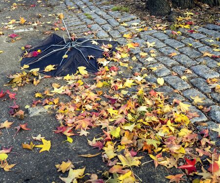 Fallen leaves and broken umbrellaの写真素材