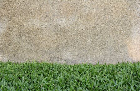 Rocks, grass background for text.の写真素材