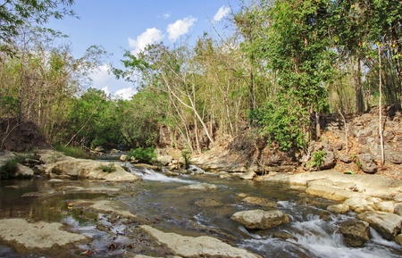 streams filled with rocks. And green trees. Background sky.