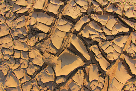 Drought cracked soilの写真素材