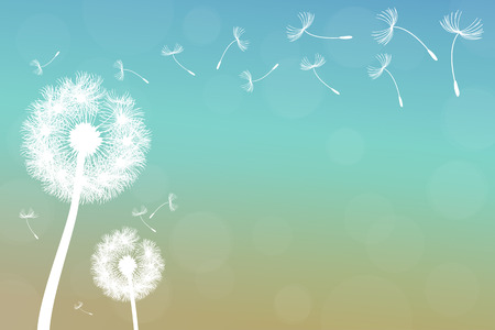 vector dandelion on a wind loses the integrityのイラスト素材
