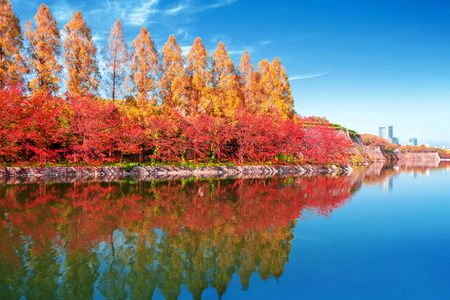 autumn scenery and modern buildings around moat river of osaka castle osaka japanの写真素材
