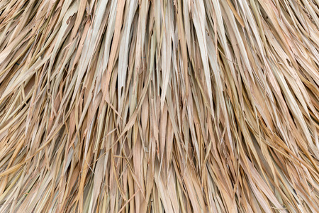 Dry leaf wall on the hut for thatch roof backgroundの写真素材