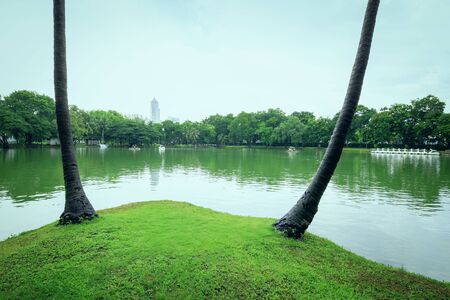 A park with a lake Located in the middle of the city