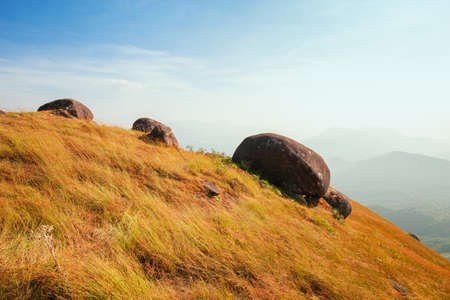 A hill full of grass During the time of strong sunlightの写真素材