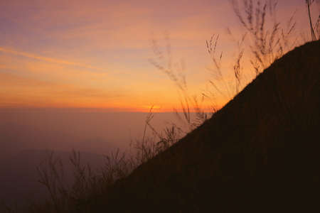 Mountain meadow in the evening. The sky is yellow-orange.