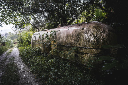Lost in the heart of the jungle, an ancient trailer stands in abandonment. Nature reclaims its territory, surrounding this forgotten relic with an aura of mystery and untold tales.の写真素材
