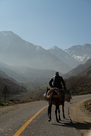Atlas duo: Man and horse, inseparable amidst majestic mountains, united in their love for adventure and the untamed wonders of nature.の写真素材