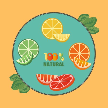 Citrus Fruits. Sliced lemon with herbs.  Fresh lemon wedges Concept. Organic natural fruit. Tropical citrus. Natural fruit with vitamin for juice, dessert. Vector Illustrationのイラスト素材