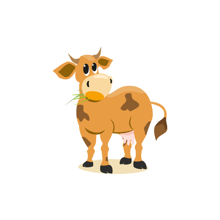 Milk cow. Dairy natural product Concept.Mammals animal isolated on white. Cartoon Holstein, Jersey cow logo.Udder, horns, hoofs. Vector illustrationのイラスト素材