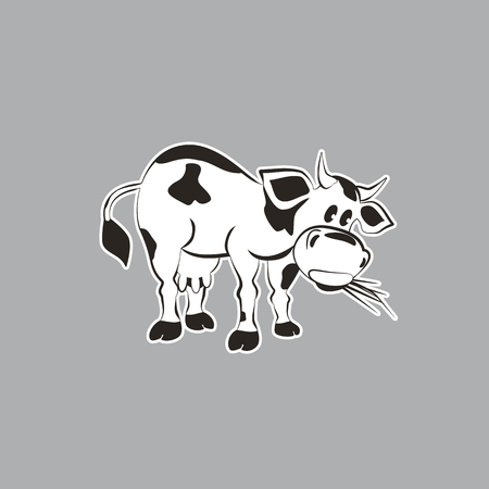 Milk cow. Mammals animal isolated on white. Dairy agriculture Concept. Cartoon Holstein, Jersey cow. Udder, horns, hoofs. Vector illustrationのイラスト素材
