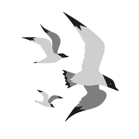 Seagull flight icon isolated on white background.のイラスト素材