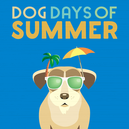 Dog days of Summer Time for adventure. Cute comic cartoon. Colorful humor retro style. Canine in sunglasses enjoy beach leisure relax. Summertime vacation journey. Vector banner background templateのイラスト素材