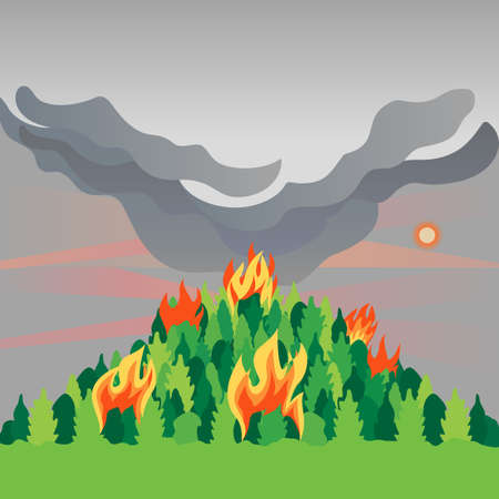 Forest fires disaster mountain trees flat vectorのイラスト素材