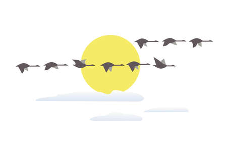 Wild geese flying at sunset minimalist iconのイラスト素材