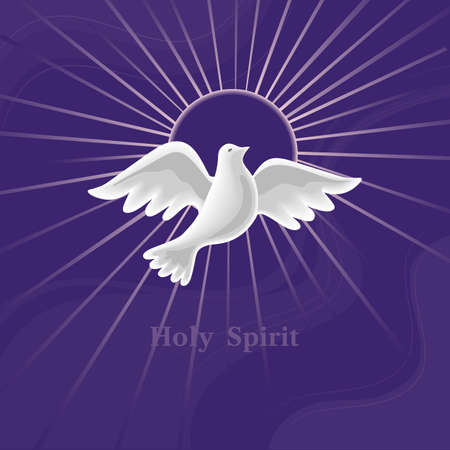 Dove Holy Spirit with halo vector illustration. White dove, halo nimbus cartoon design element. Religion Easter Sunday Christian holiday background. Jesus Christ, God Holy Spirit Trinity church symbolのイラスト素材
