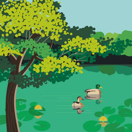 Ducks on pond in Summer urban garden vector poster. City public park background. Green tree, water plants, natural park lake zone landscape. Hand drawn town cozy rest place flat color illustrationのイラスト素材