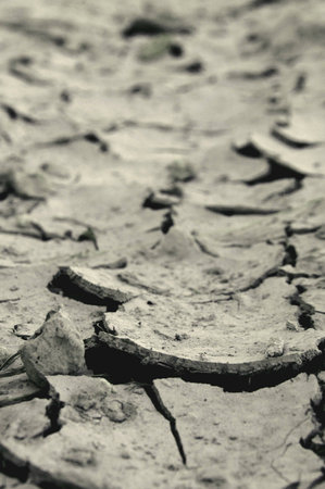 A dry day when soil needs some waterの素材