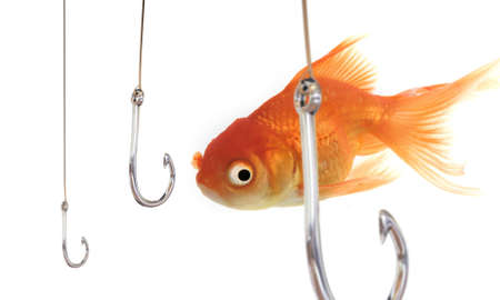A goldfish swiming surrounded by hooks.の写真素材
