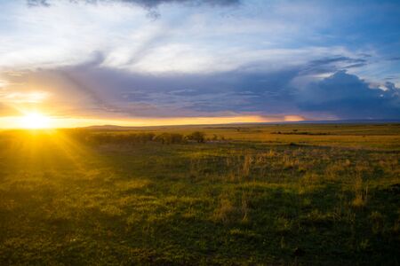 This is a picture clicked in the savannahs of Masai Mara. The picture shows the sun beaming out its last few rays of light as it dips below the horizon.の写真素材