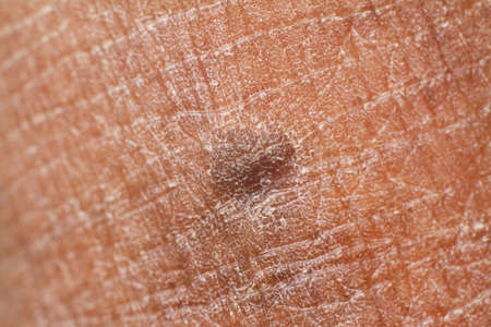 sky blue leather texture background surface stock photo.selective focus and blur effectsの写真素材