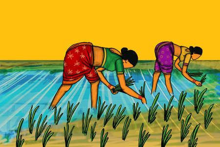 Woman working on paddy fieldsの写真素材