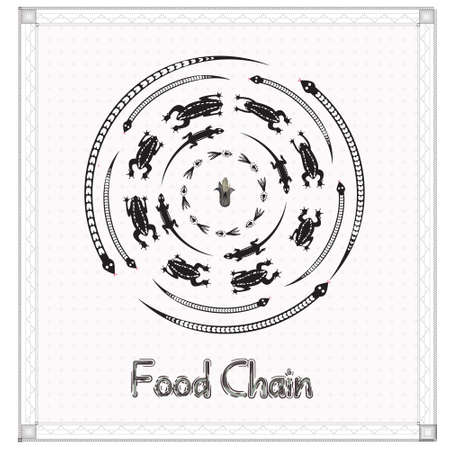 The food chain of reptile.の写真素材
