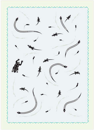 The Pattern of the reptiles.の写真素材