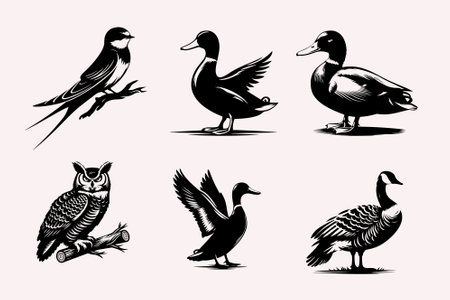 Set of vector silhouettes of wild ducks and geese in monochrome style.のイラスト素材