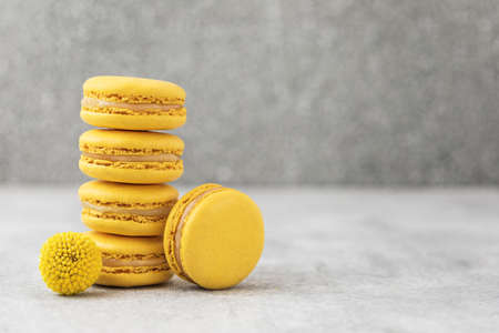 Five yellow macaroons and a flower of craspedia on a gray backgroundの写真素材