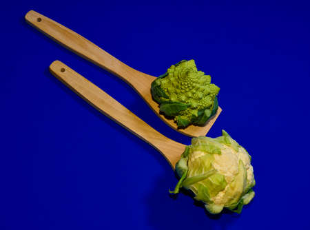 cauliflower and romanesque on blue backgroundの写真素材