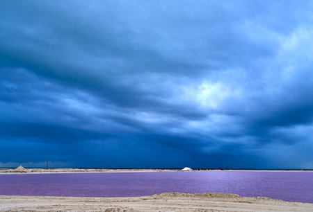 Pink Landscapes: The Magic of Las Coloradas, Yucatan