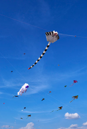 Kite festival brightening the skies of Cholulaの写真素材