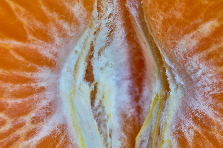 Mandarin orange macro, citrus segments close up, vitamin Cの写真素材
