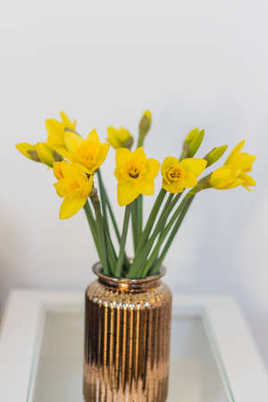 daffodils in vaseの写真素材