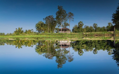 This photo is actually upside-downの写真素材