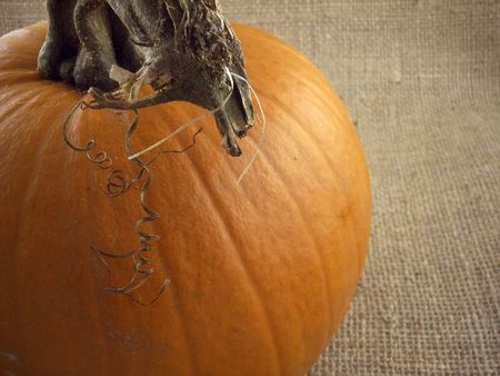 Pumpkin on Burlap.の写真素材