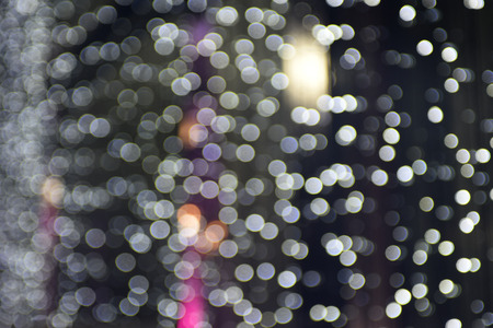 White Christmasの写真素材