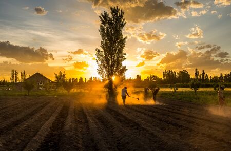 Seeding in Argentina